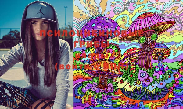 марки lsd Новодвинск