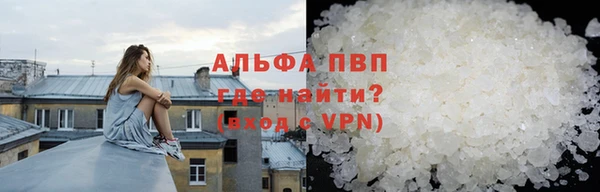 спиды Новокубанск