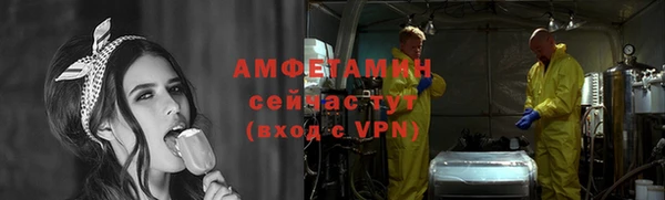 индика Болохово