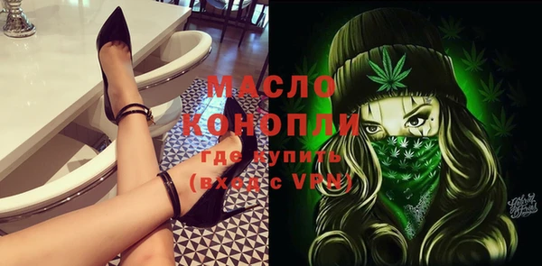 индика Болохово