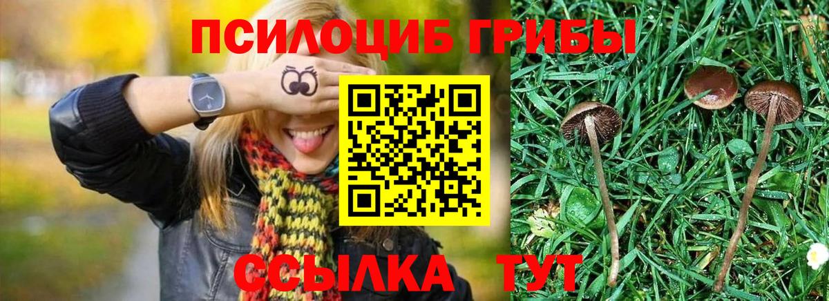 Крымск  Галлюциногенные грибы MAGIC MUSHROOMS  Вход с VPN 